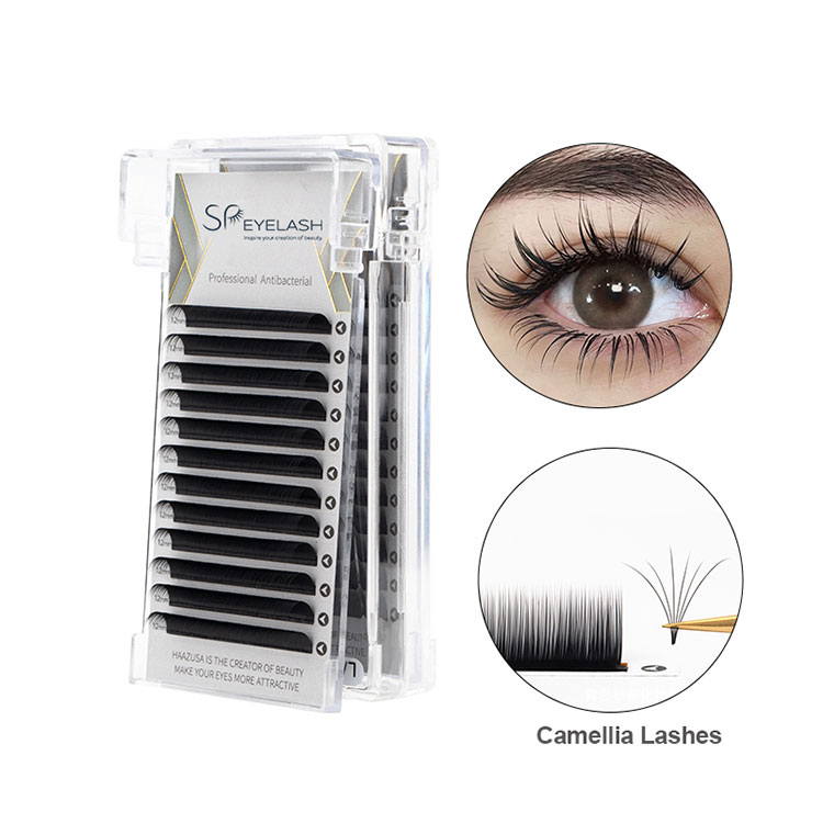0,07 Camellia Lash erretilua