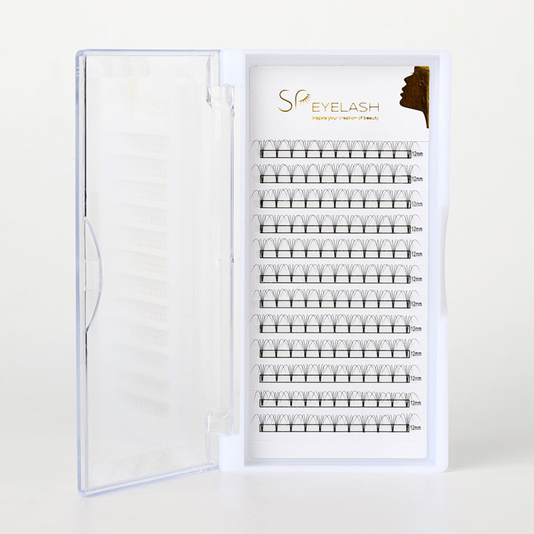 Premade Fan Lashes-en azken gida: zer jakin behar duzu
