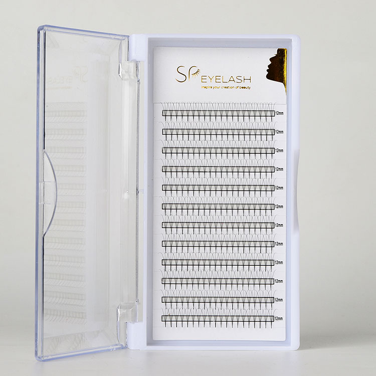 Nola aukeratu Promade Pointy Fans azkarrago, beteago eta iraupen luzeko lash luzapenetarako?