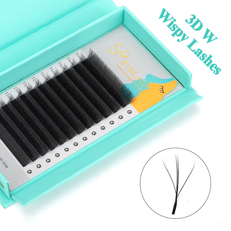 3D W Wispy Lash luzapenak