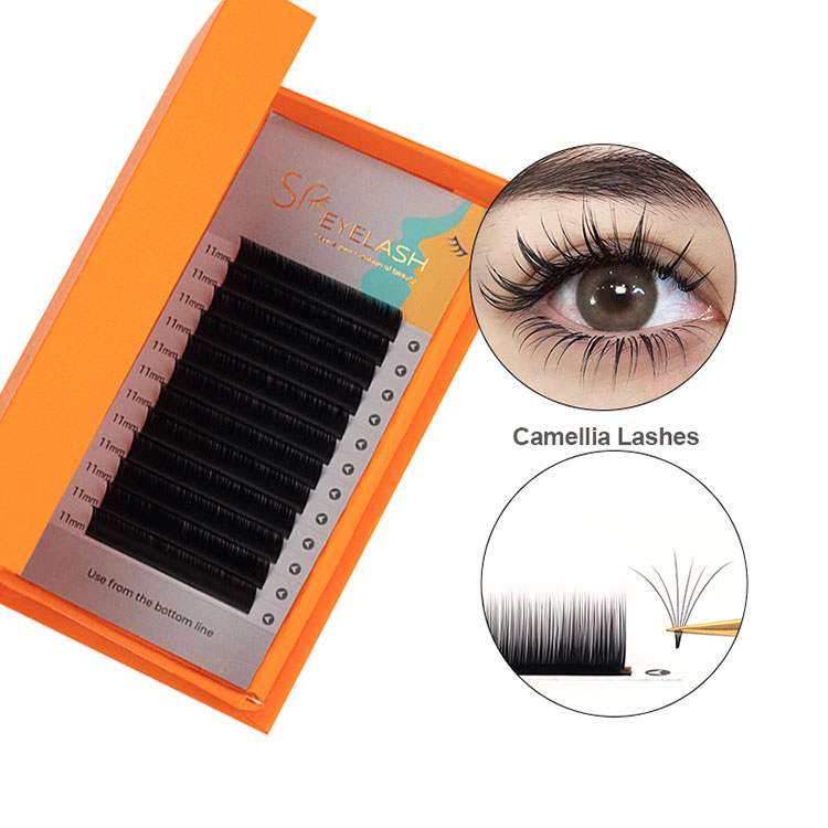 Camellia Erraza Fanning Bolumen Lashes